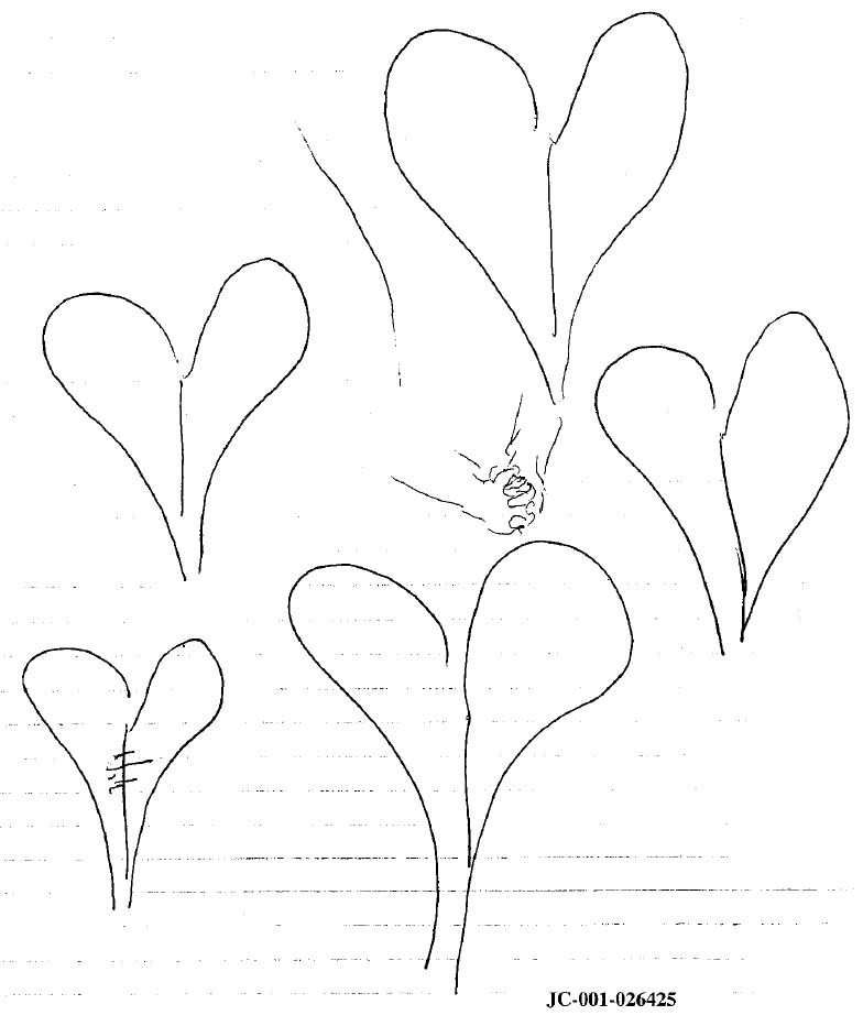 Drawing of hearts with held hands by Dylan Klebold
