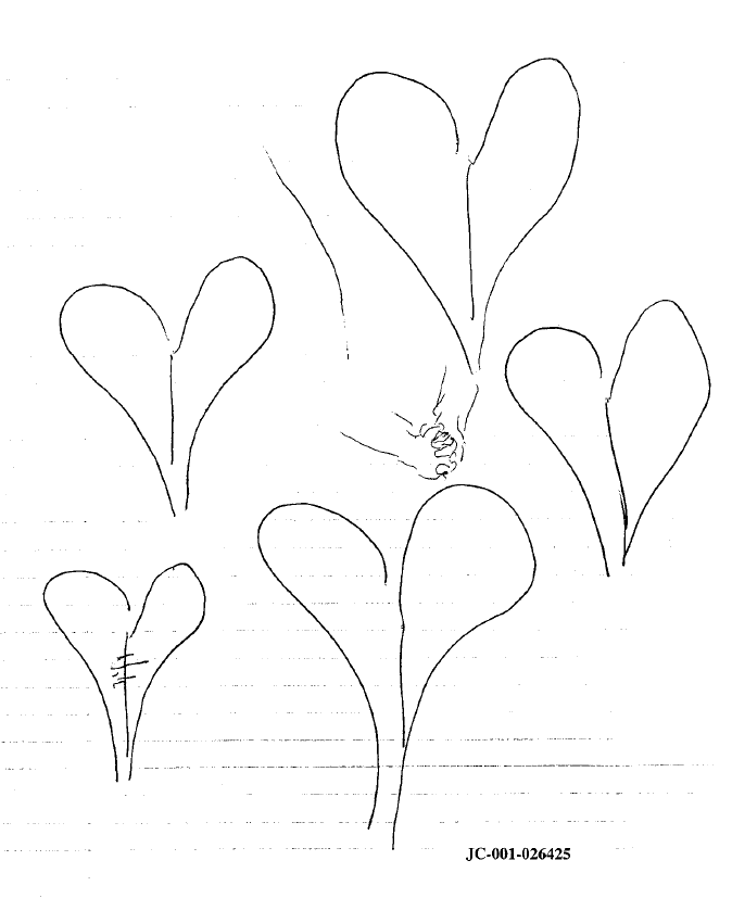 Drawing of hearts with held hands by Dylan Klebold