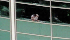Patrick Ireland, the boy in the window, escapes from Columbine library